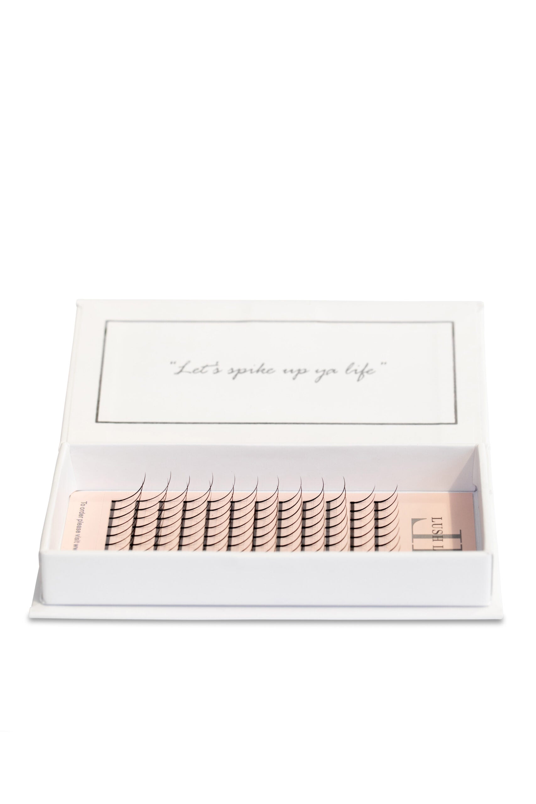 Spike lash extensions (MIXED PACKS - LONG LENGTHS) - 0.07, D image