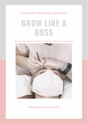 Lushlash Educator Brow like a Boss kit image 0